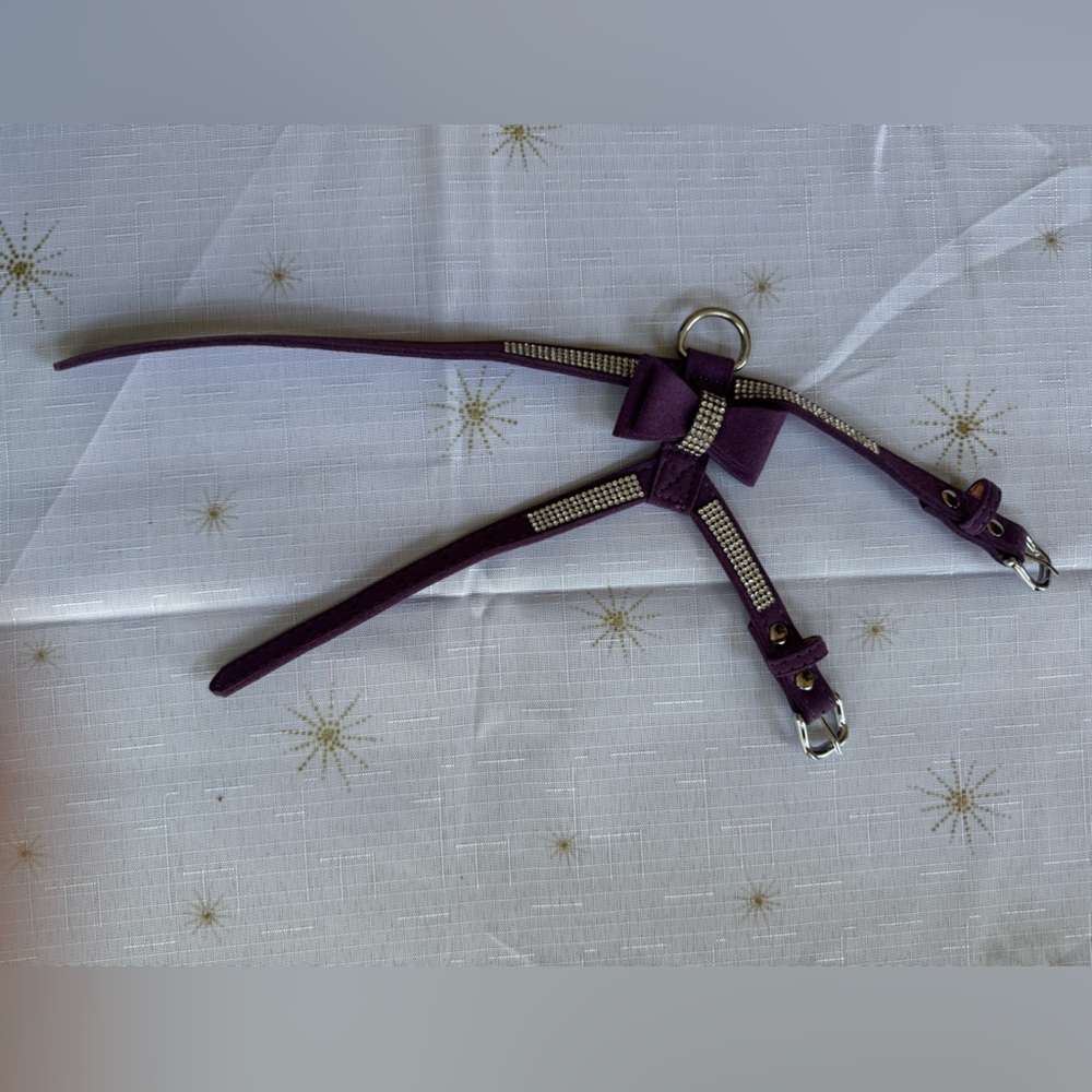 $15 Fancy collar for small female dog.